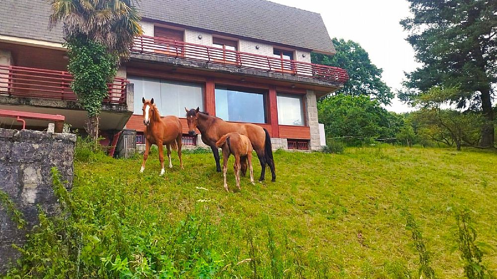 Casa en Altsasu/Alsasua7